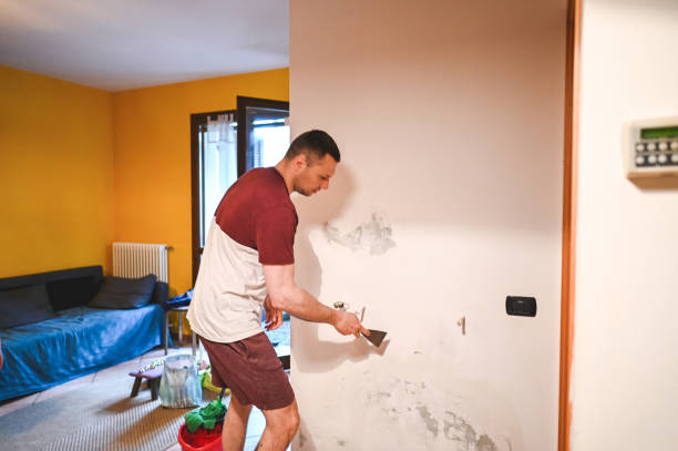 Best Post-Flood Mold Remediation in Eldon, MO